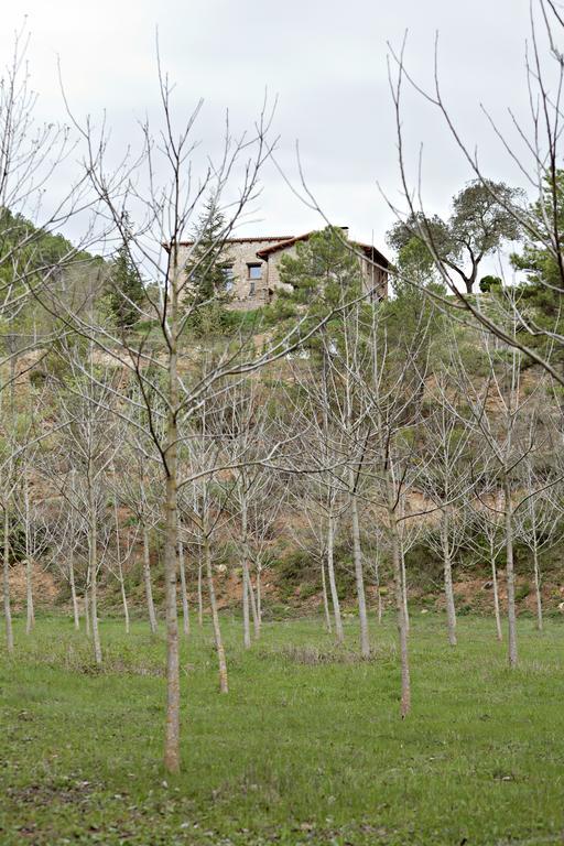 Masia Ca L'Anima Ξενοδοχείο La Baronia de Rialb Εξωτερικό φωτογραφία