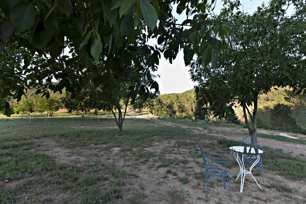 Masia Ca L'Anima Ξενοδοχείο La Baronia de Rialb Εξωτερικό φωτογραφία