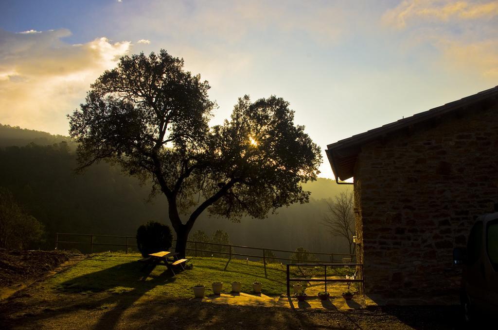 Masia Ca L'Anima Ξενοδοχείο La Baronia de Rialb Δωμάτιο φωτογραφία