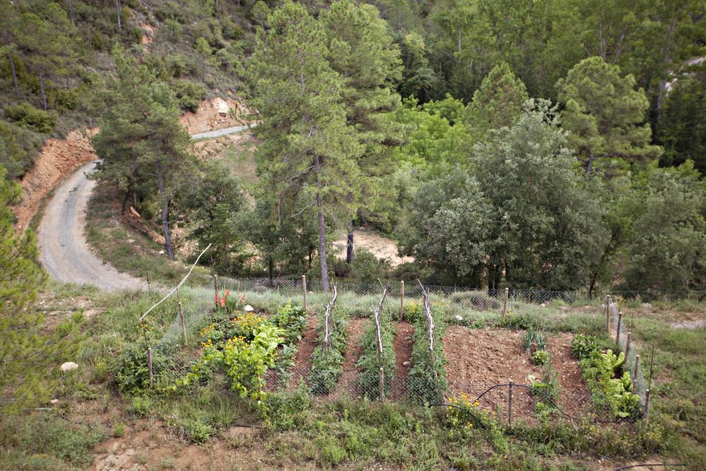 Masia Ca L'Anima Ξενοδοχείο La Baronia de Rialb Δωμάτιο φωτογραφία