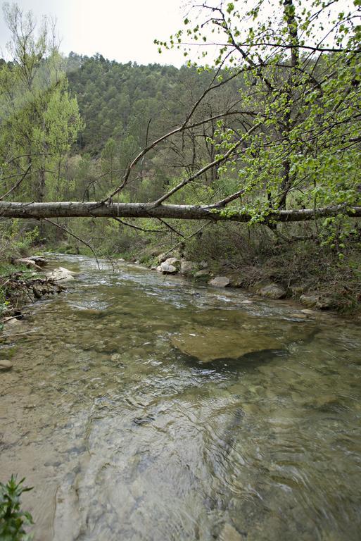 Masia Ca L'Anima Ξενοδοχείο La Baronia de Rialb Δωμάτιο φωτογραφία