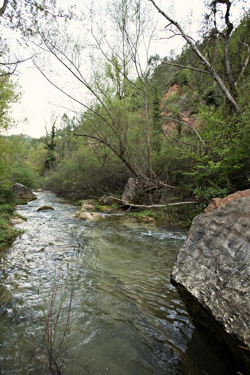 Masia Ca L'Anima Ξενοδοχείο La Baronia de Rialb Δωμάτιο φωτογραφία