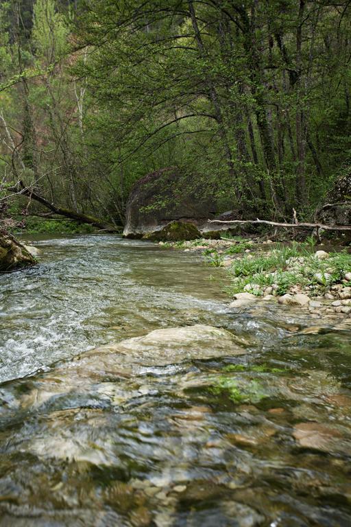 Masia Ca L'Anima Ξενοδοχείο La Baronia de Rialb Δωμάτιο φωτογραφία